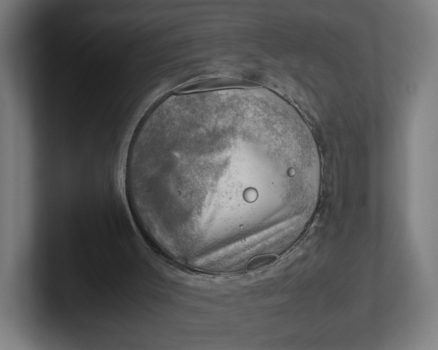 X0000102010003200808011152