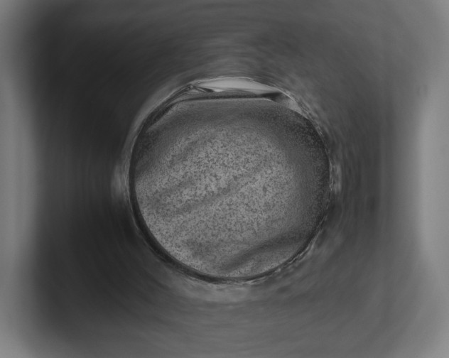 X0000102010004200808011152