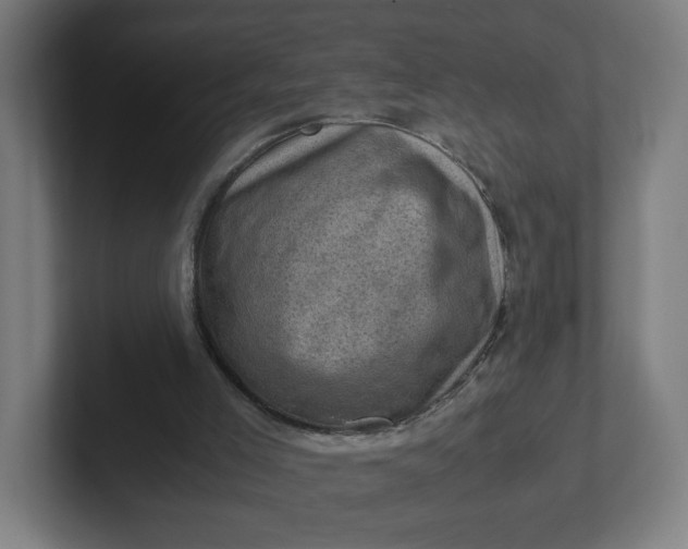 X0000102010005200808011152