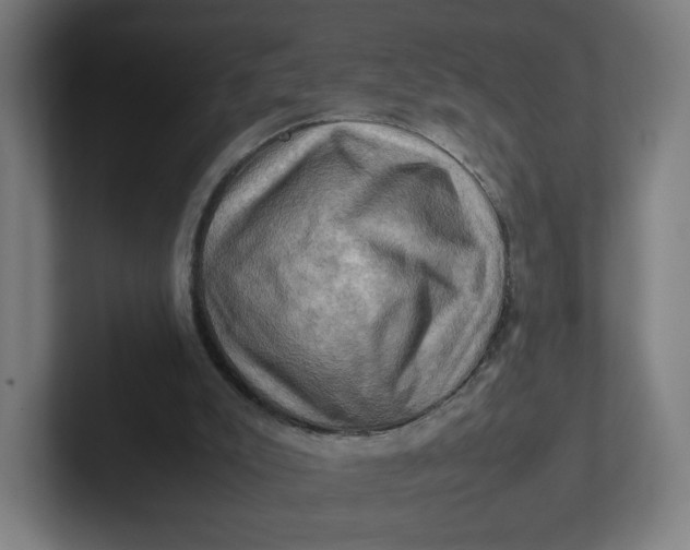 X0000102010007200808011152