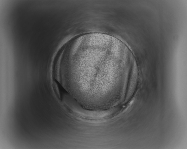 X0000102010008200808011152