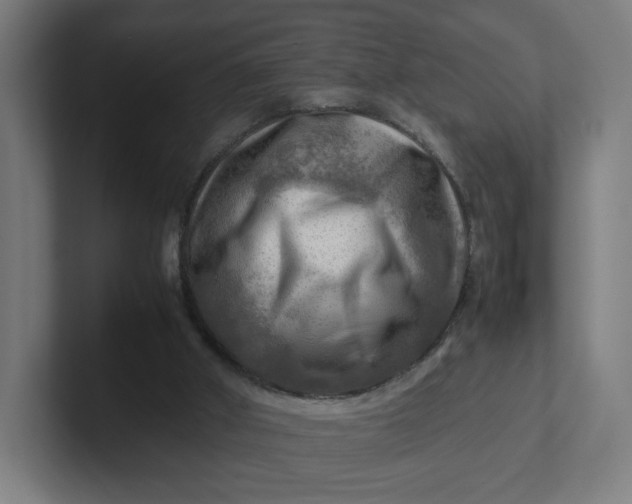 X0000102010010200808011152