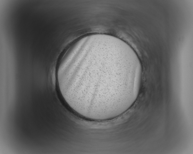 X0000102010011200808011152