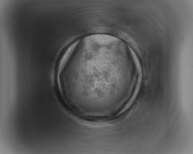 X0000102010012200808011152