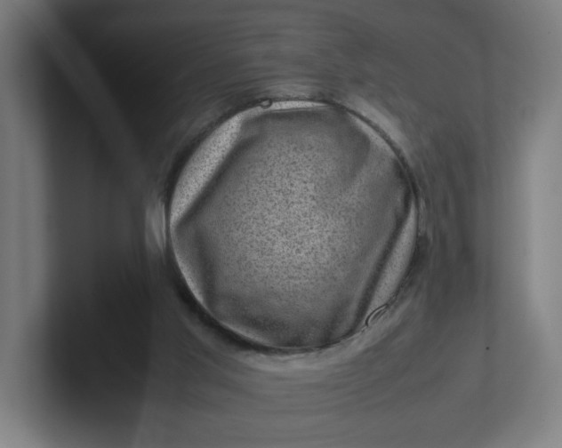 X0000102010013200808011152