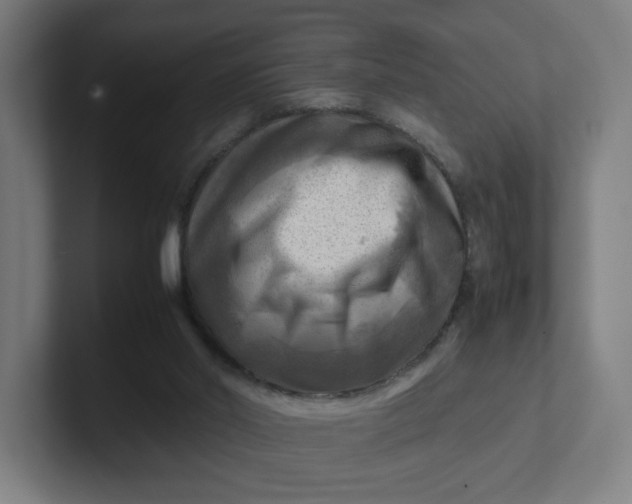 X0000102010014200808011152