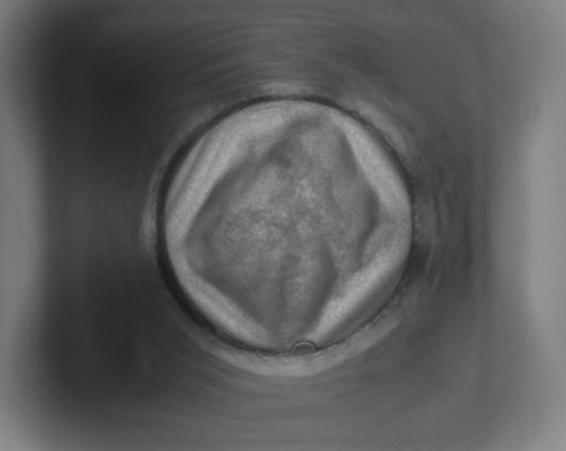 X0000102010015200808011152