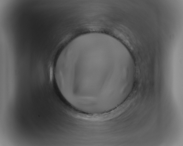 X0000102010019200808011152