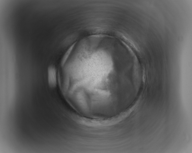 X0000102010022200808011152