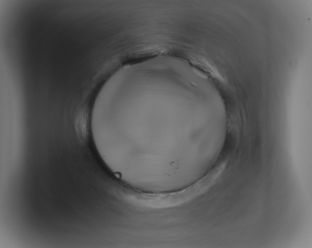 X0000102010023200808011152