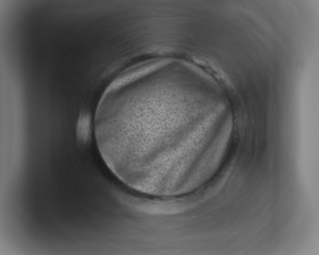 X0000102010024200808011152