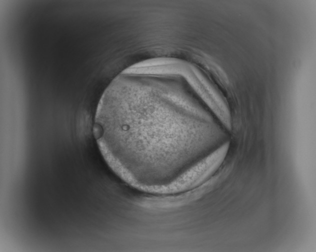 X0000102010025200808011152