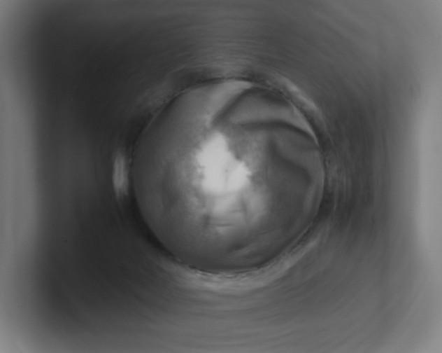 X0000102010026200808011152