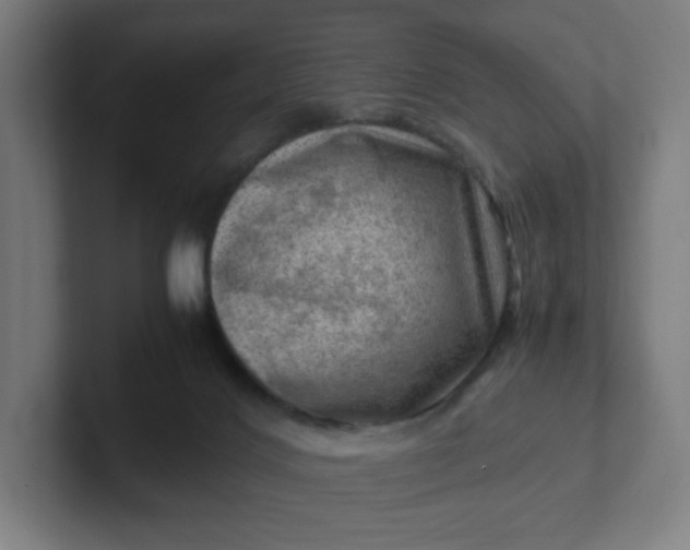 X0000102010028200808011152