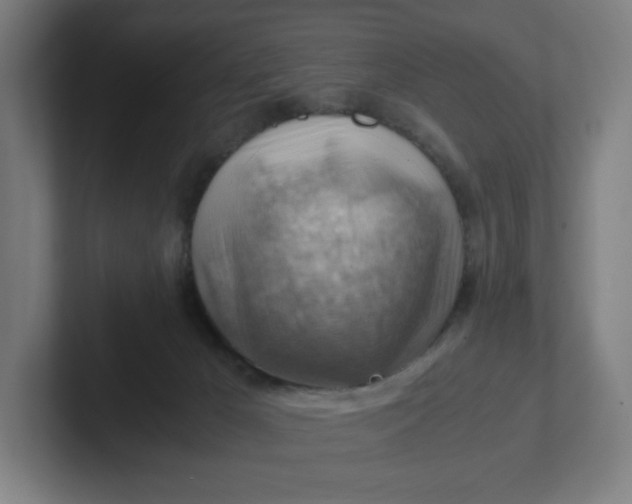 X0000102010029200808011152