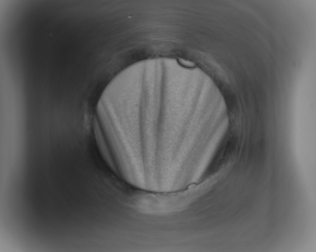 X0000102010033200808011152