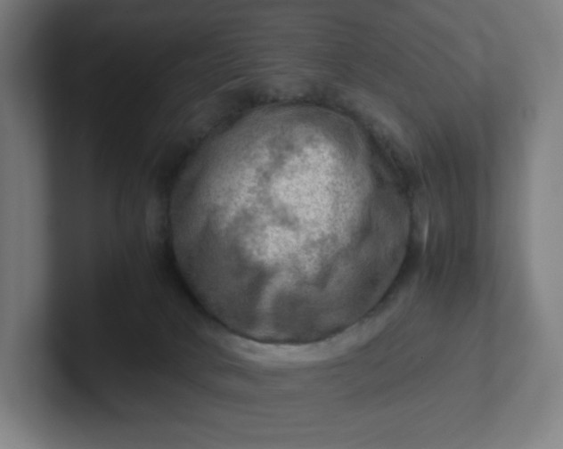 X0000102010034200808011152