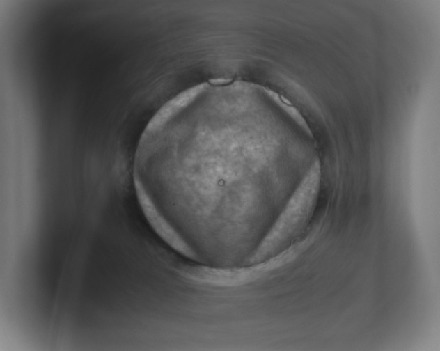 X0000102010037200808011152