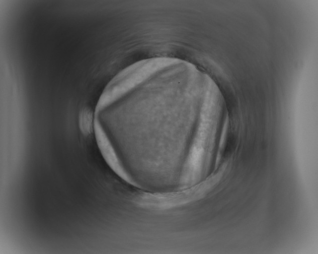 X0000102010041200808011152