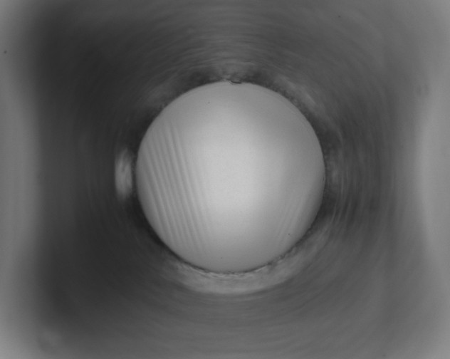 X0000102010042200808011152