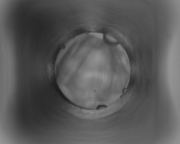 X0000102010043200808011152