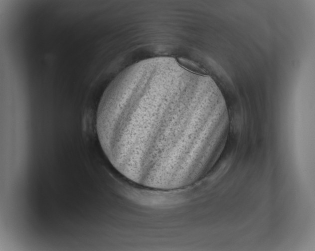 X0000102010044200808011152