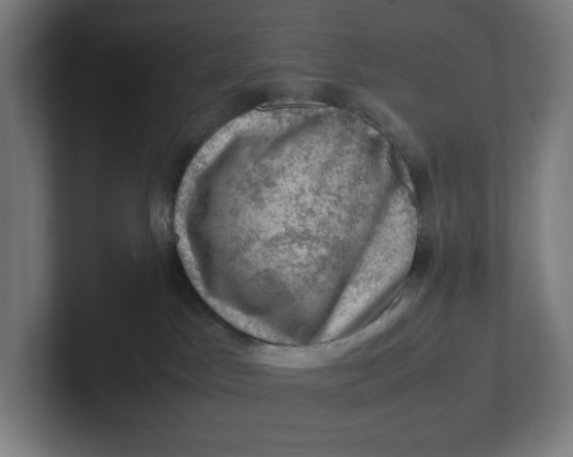 X0000102010045200808011152