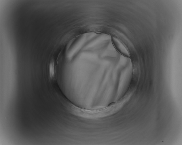 X0000102010046200808011152