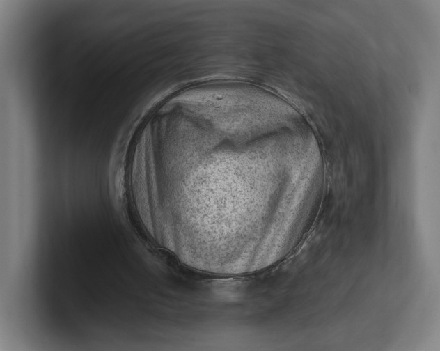 X0000102010050200808011151