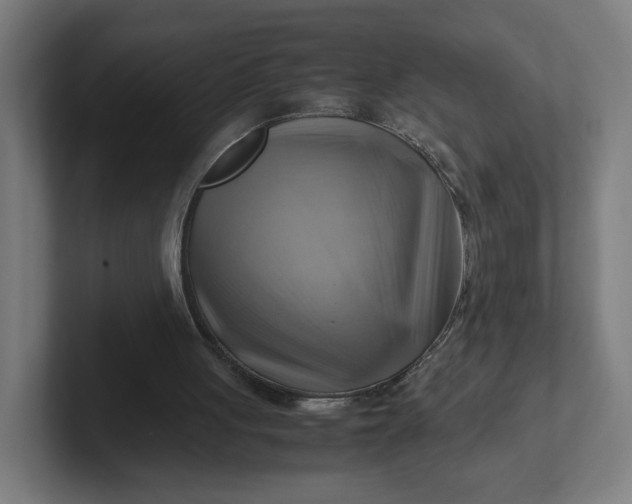 X0000102010051200808011151