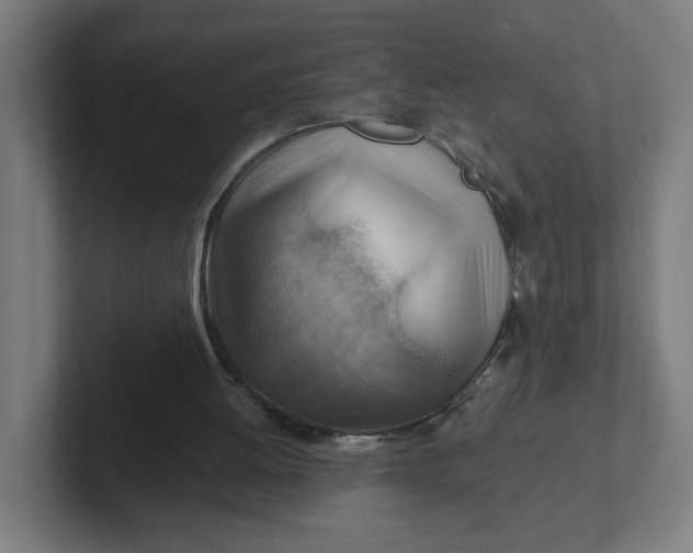 X0000102010052200808011151