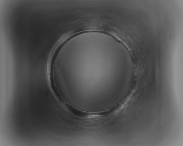 X0000102010055200808011151