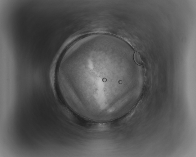 X0000102010056200808011151