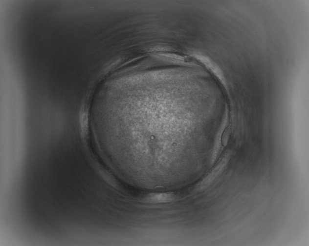 X0000102010057200808011151