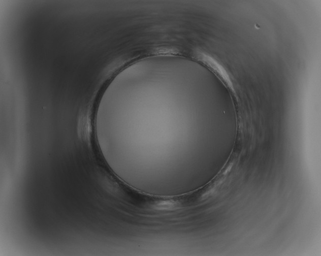 X0000102010059200808011151