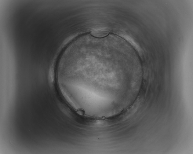 X0000102010060200808011151