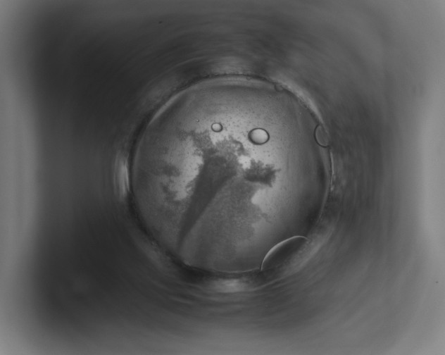 X0000102010061200808011151