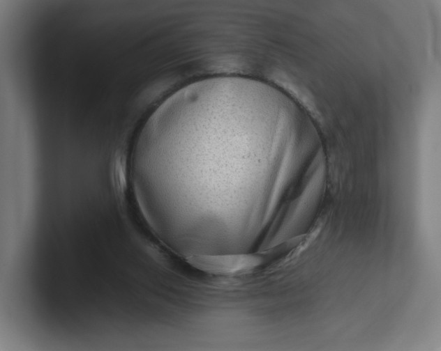 X0000102010062200808011151