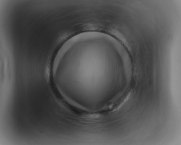 X0000102010063200808011151