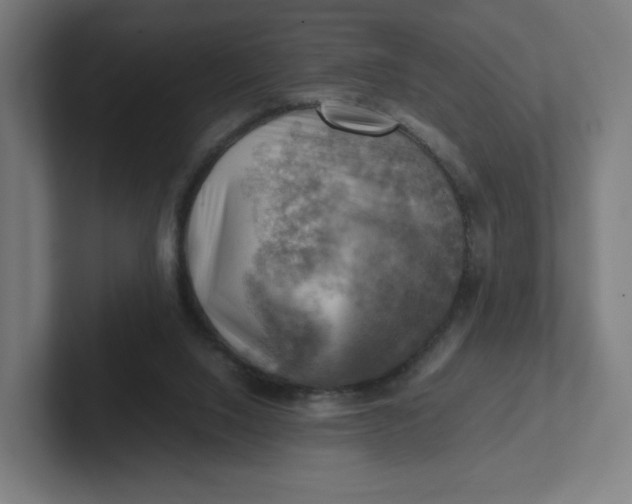 X0000102010064200808011151