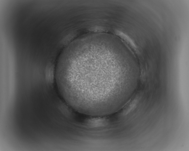 X0000102010065200808011151