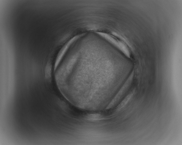 X0000102010066200808011151