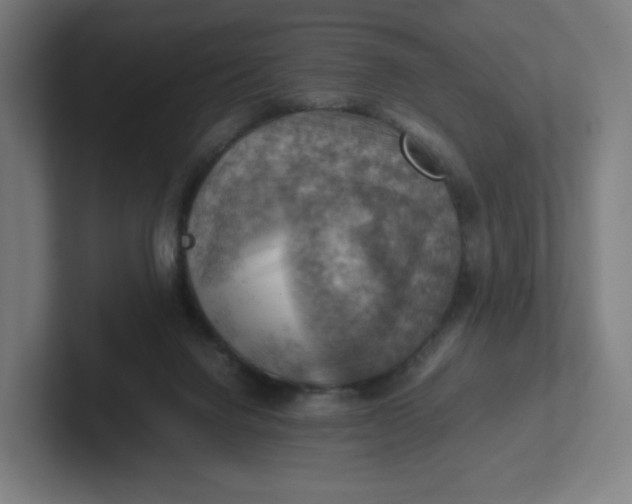 X0000102010072200808011151