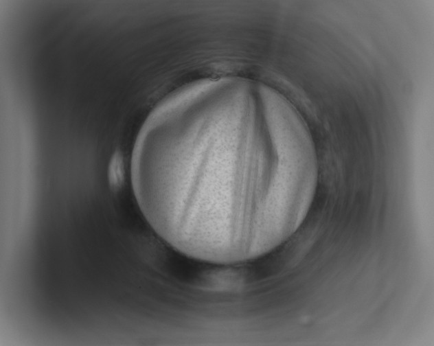 X0000102010075200808011151