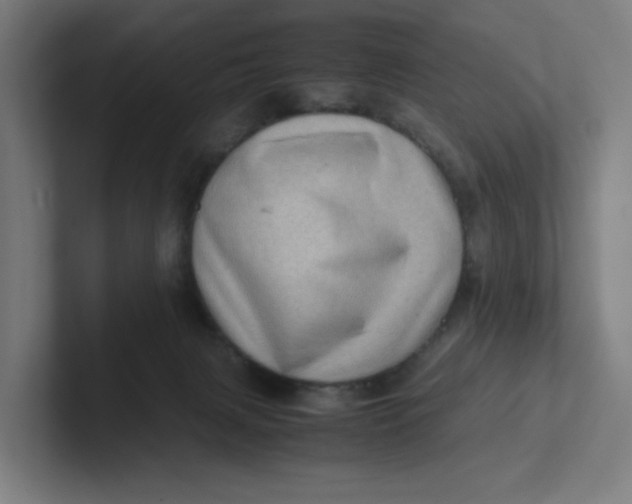 X0000102010079200808011152