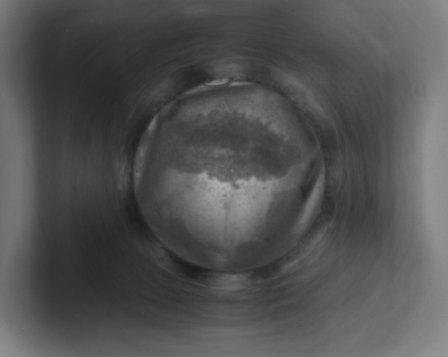 X0000102010081200808011152