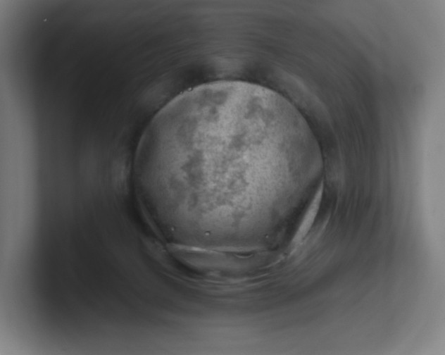 X0000102010082200808011152