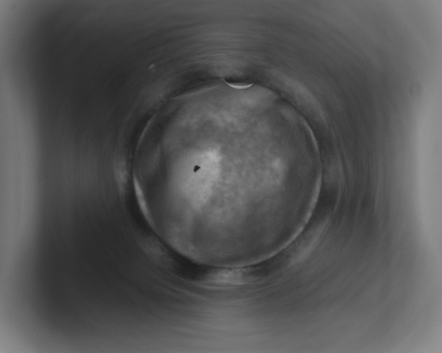 X0000102010084200808011152