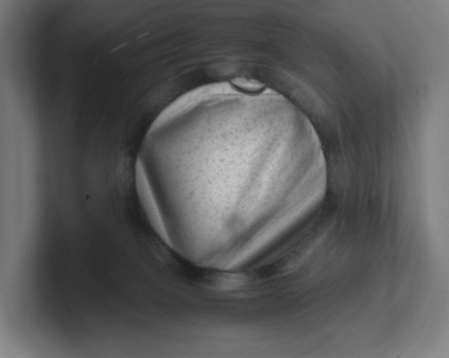 X0000102010085200808011152