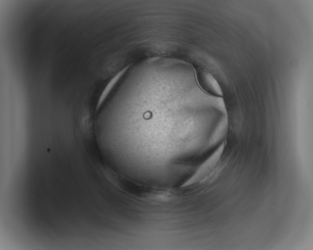 X0000102010086200808011152